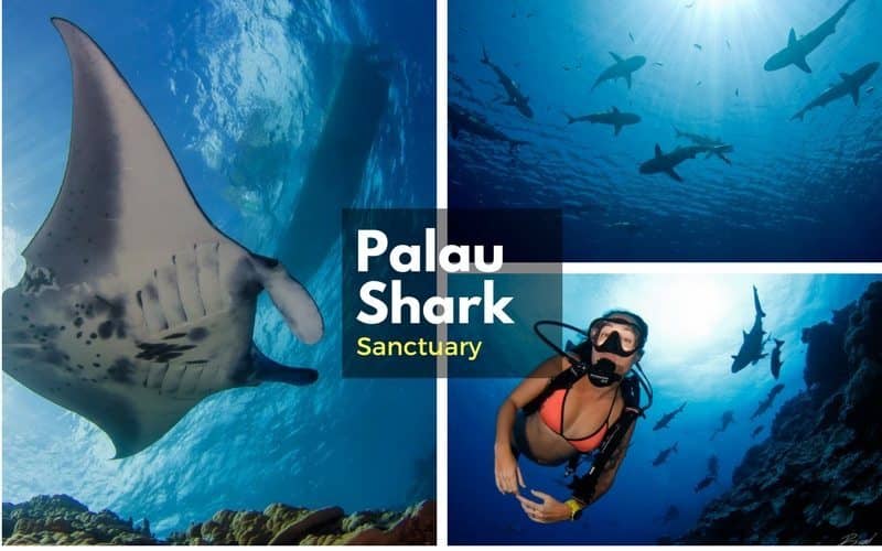natural tourist attractions in palau